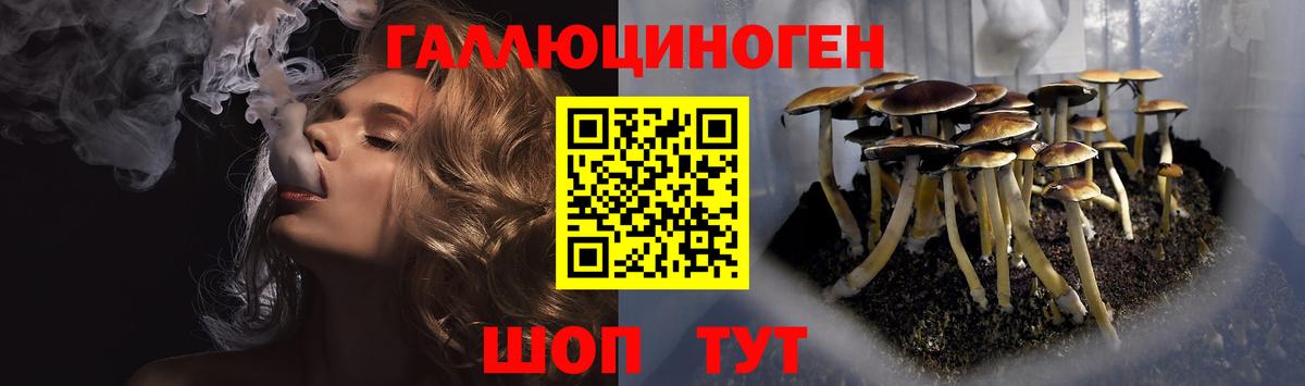 Выкса  Галлюциногенные грибы прущие грибы  Вход с VPN 